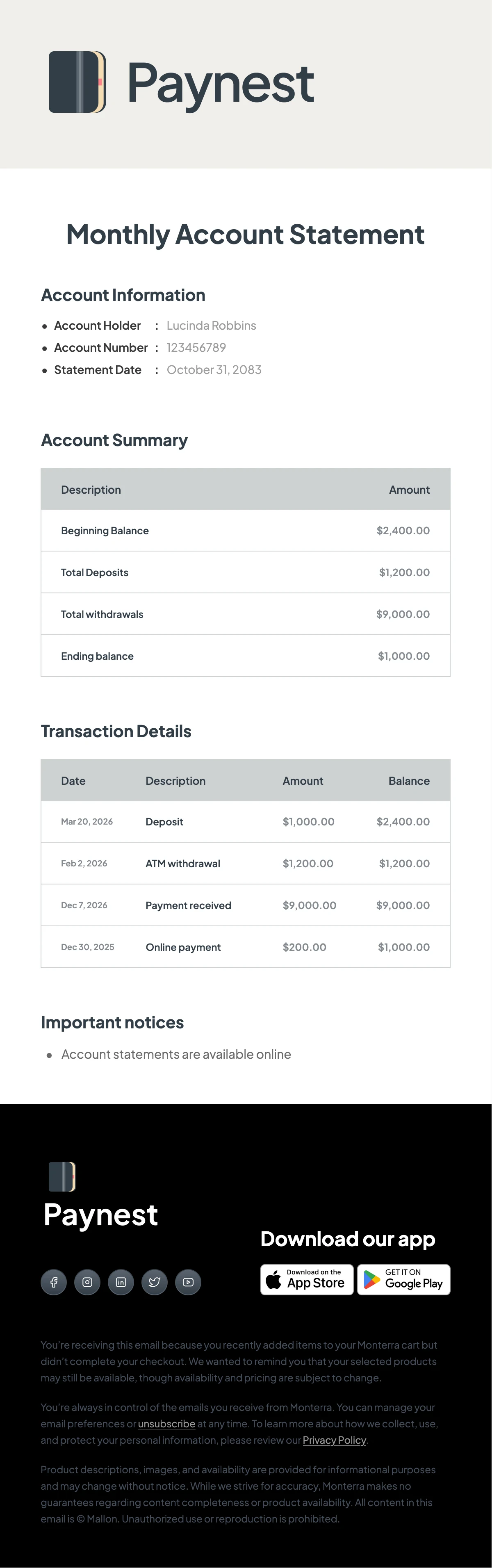Account Statement Email Template | Maileditor